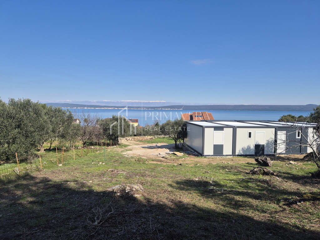 Image 6241081 - 1