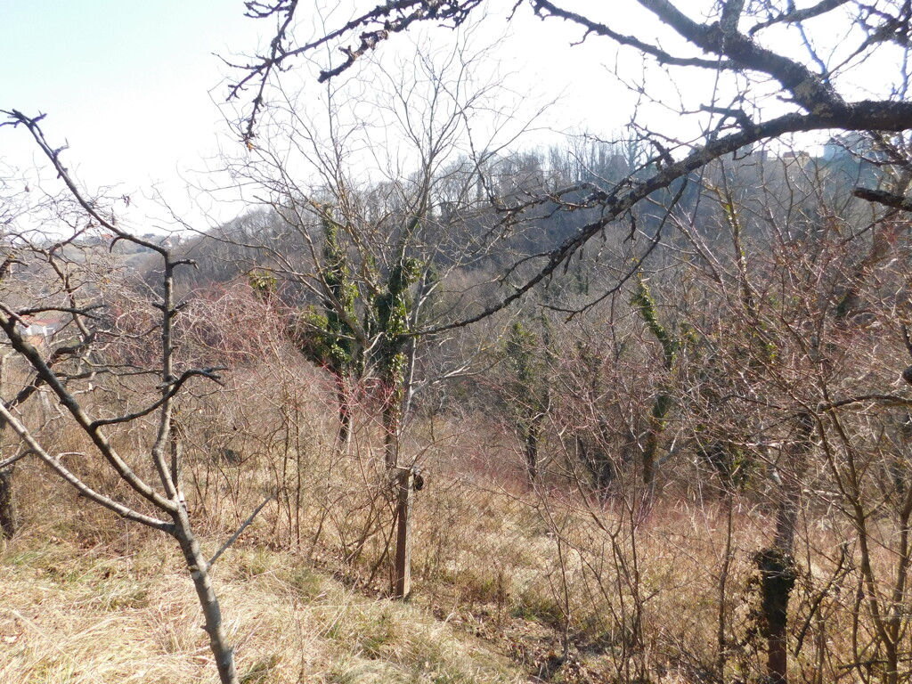 Image 6241241 - 15