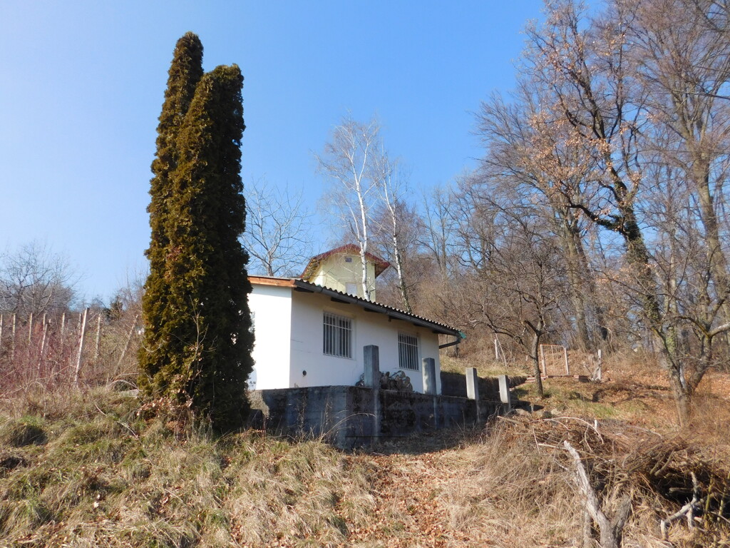 Image 6241241 - 1