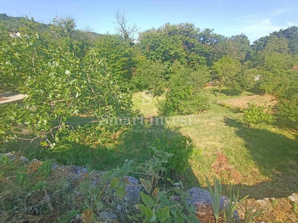 Image 6241339 - 6