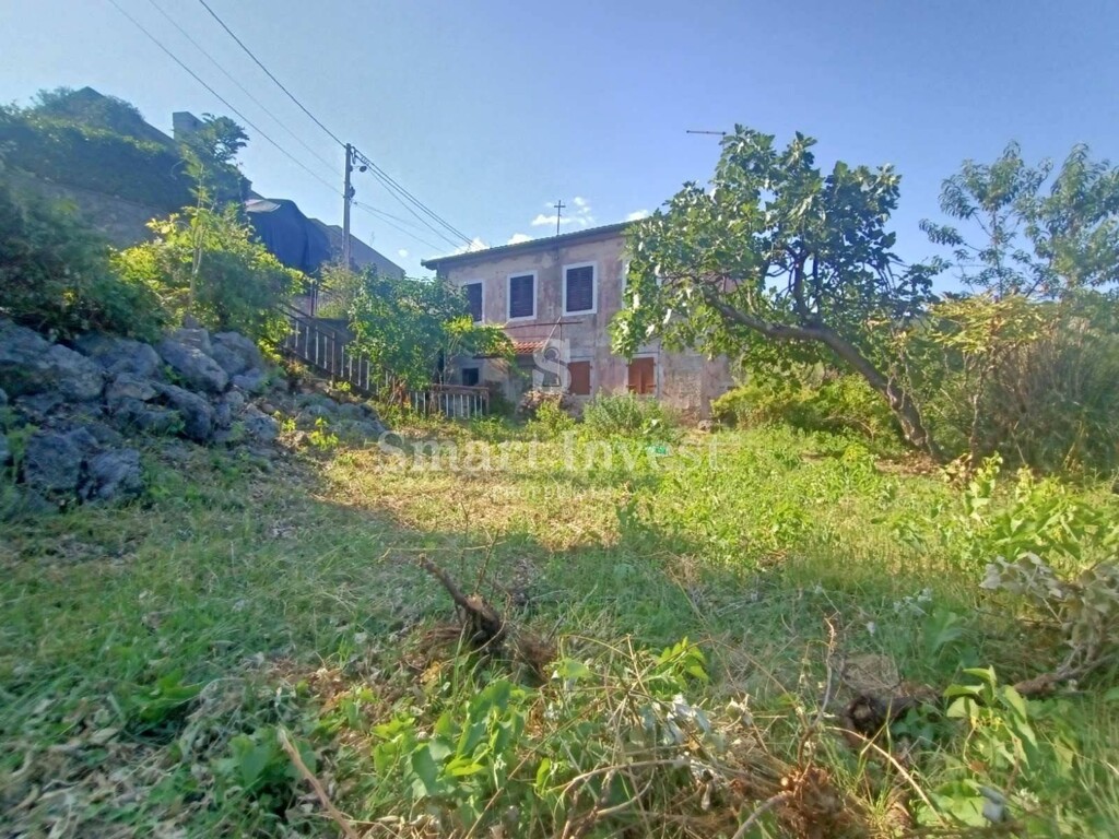 Image 6241339 - 4