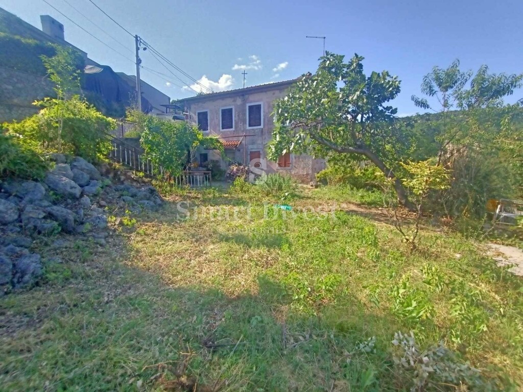 Image 6241339 - 8