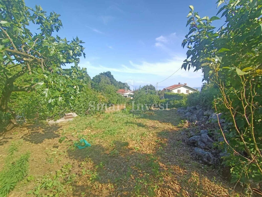 Image 6241339 - 10