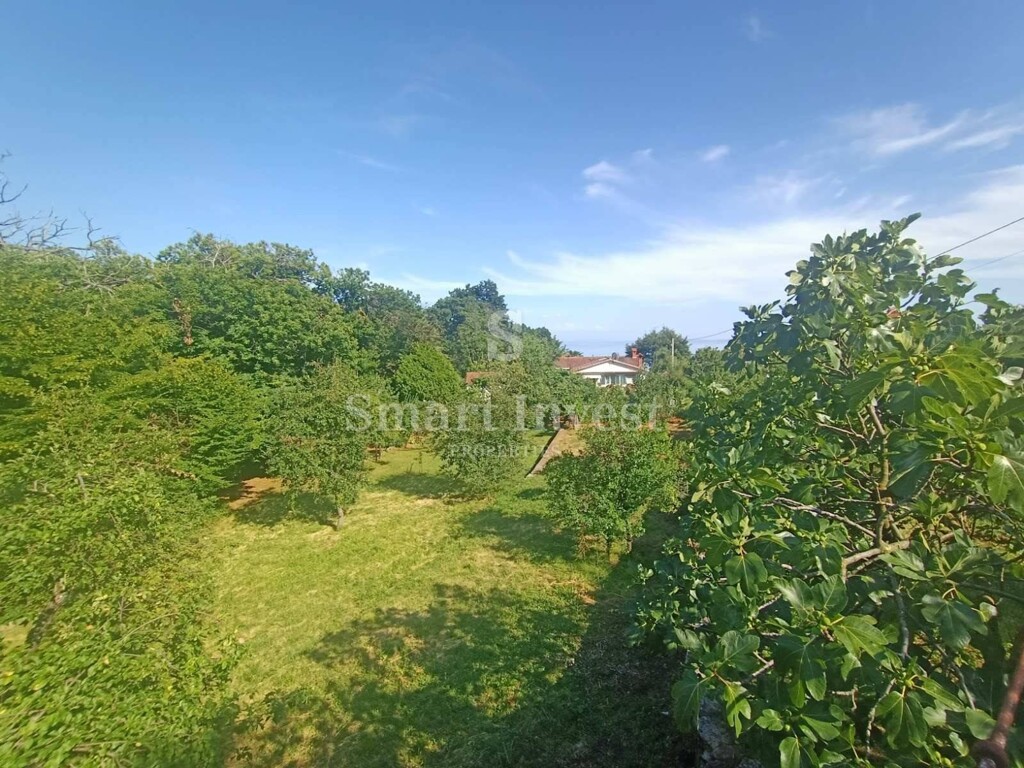 Image 6241339 - 2