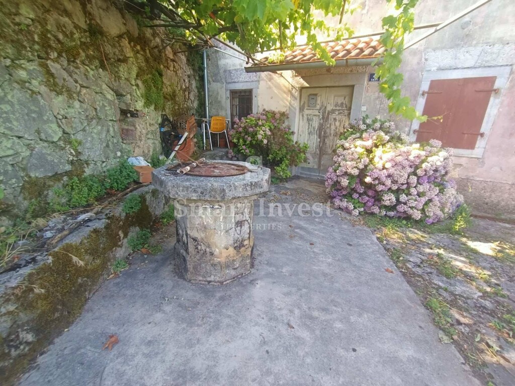 Image 6241339 - 5