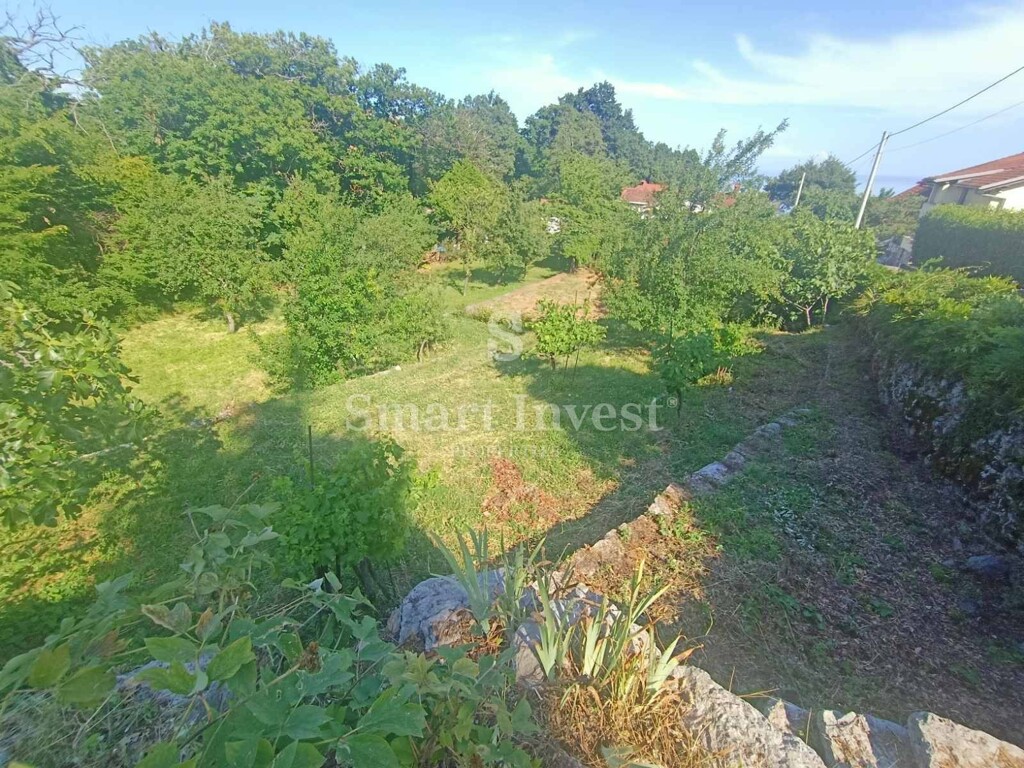 Image 6241339 - 9