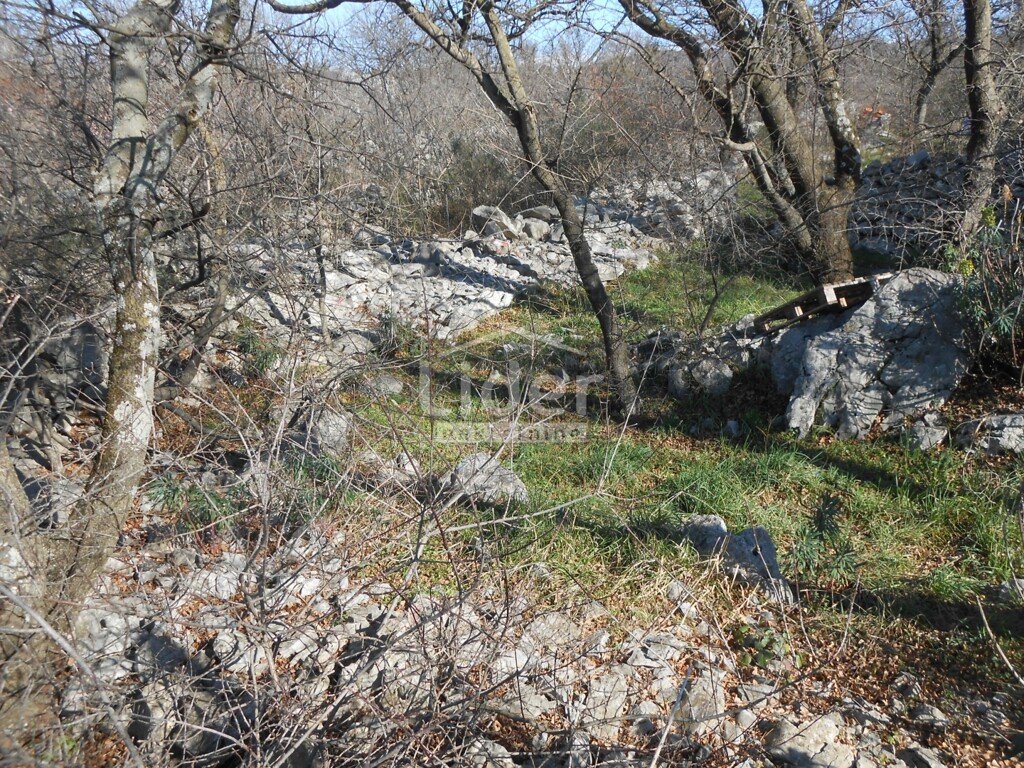 Image 6241453 - 7