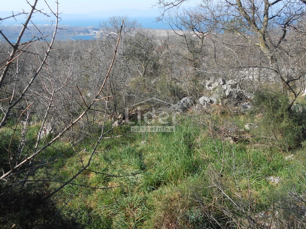 Image 6241453 - 3