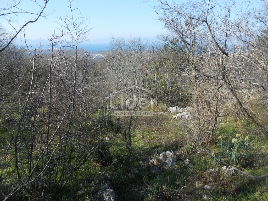 Image 6241453 - 2