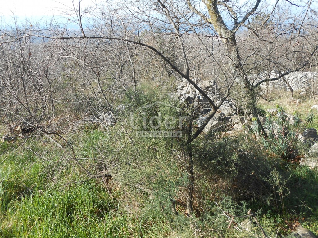Image 6241453 - 5