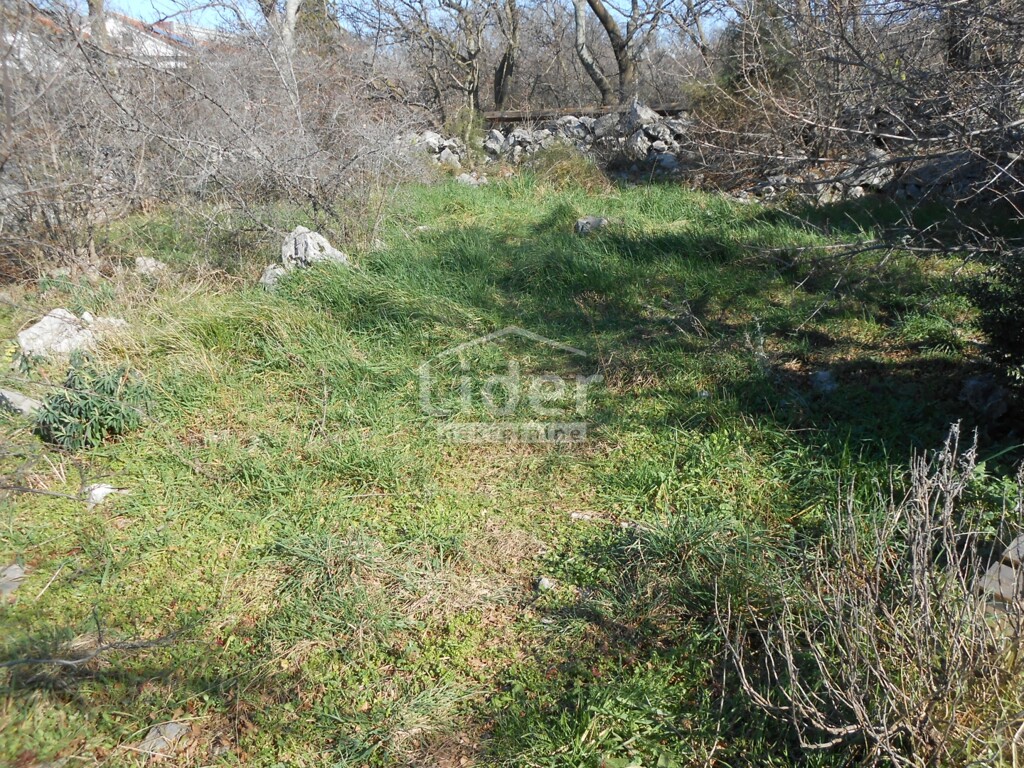 Image 6241453 - 6