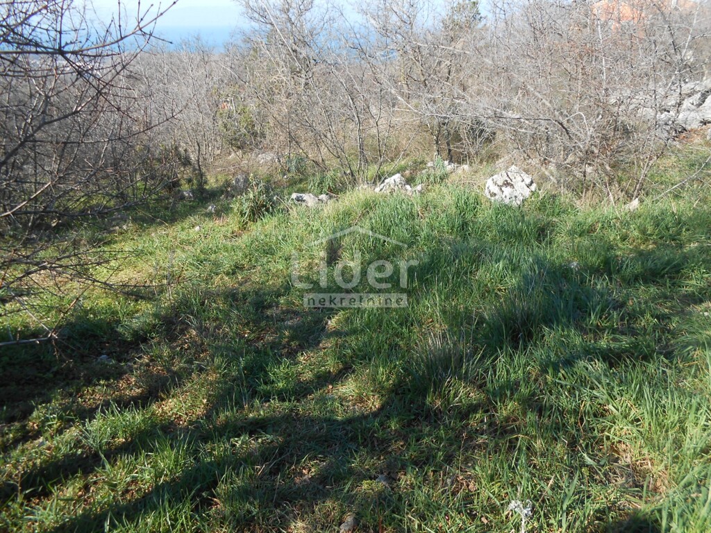 Image 6241453 - 8