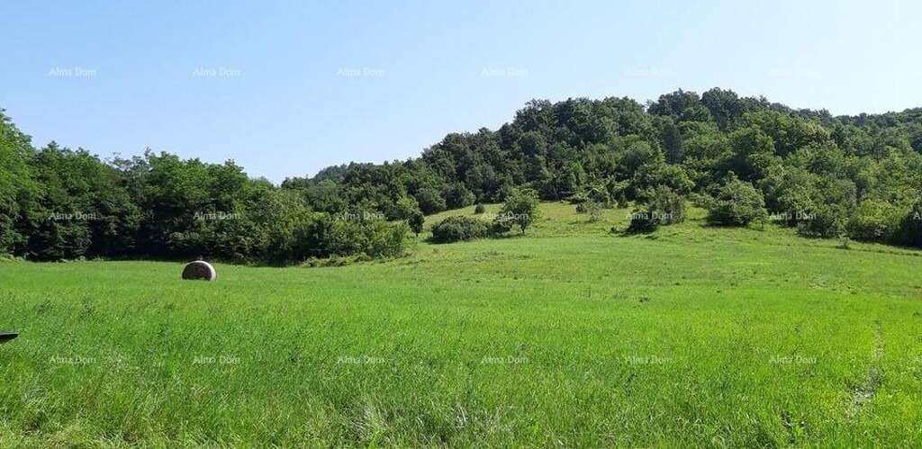 Image 6241584 - 5