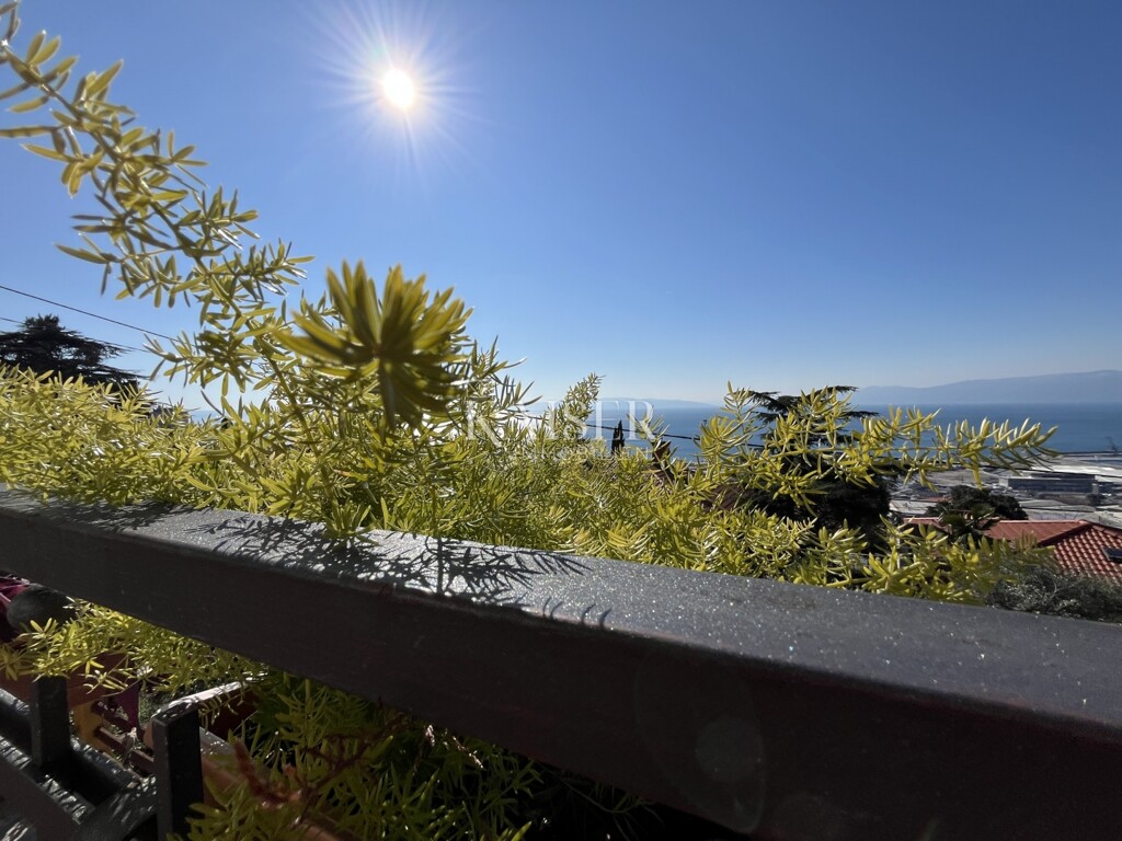 Image 6241632 - 1