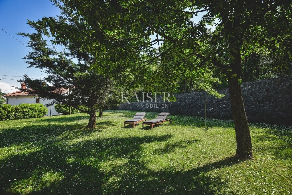 Image 6241633 - 2