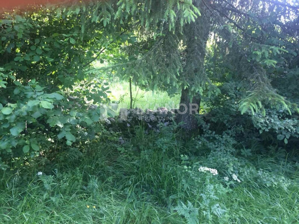 Image 6241636 - 2