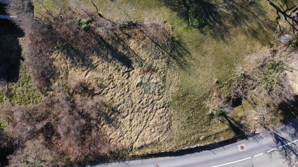 Image 6241656 - 2