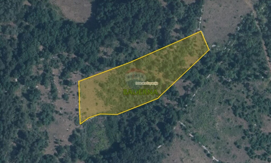 Image 6241660 - 2
