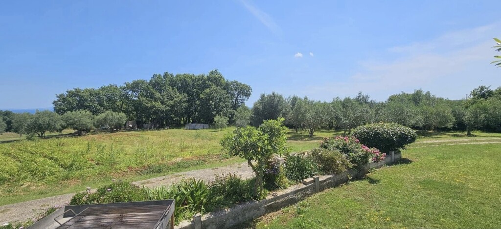 Image 6241677 - 4