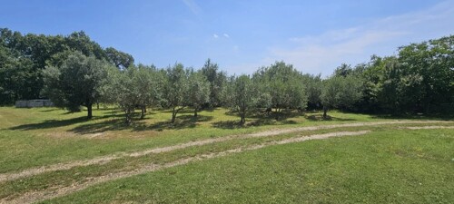 Thumbnail 6241677 - 5