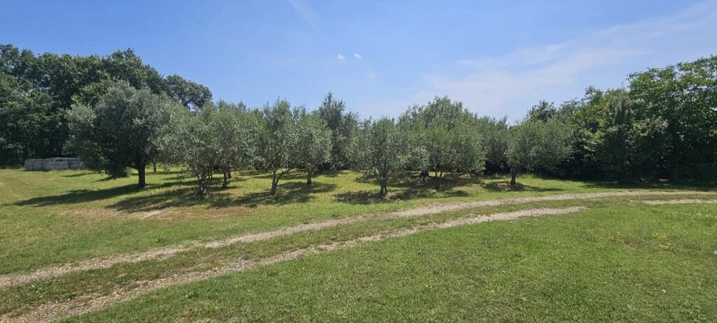 Image 6241677 - 5