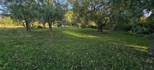 Thumbnail 6241677 - 3