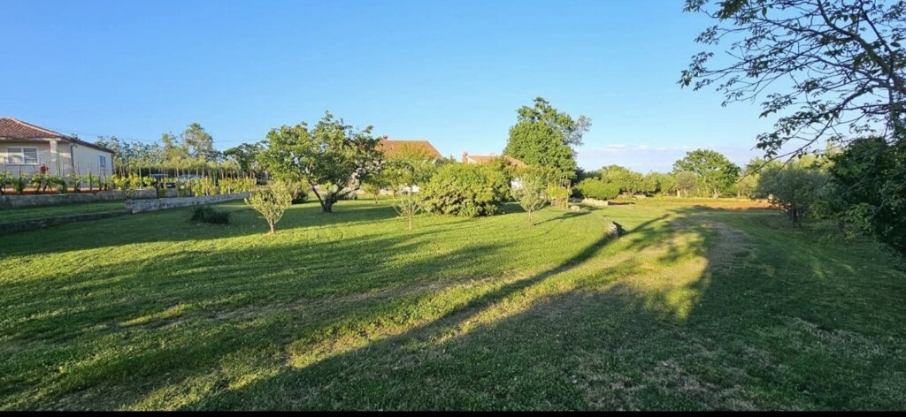 Image 6241677 - 2