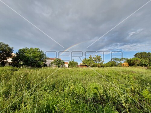 Thumbnail 6241772 - 3