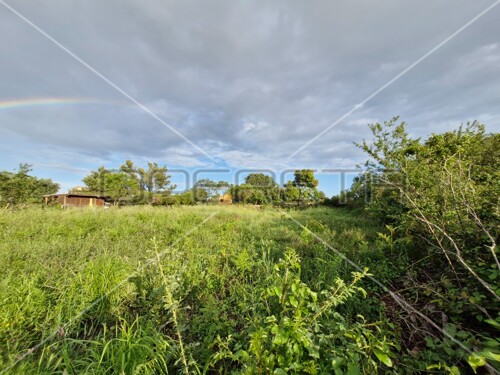 Thumbnail 6241772 - 2
