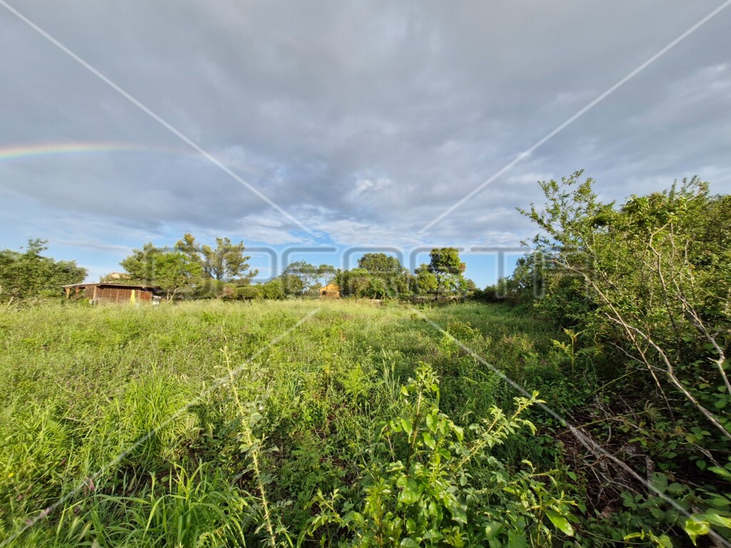 Image 6241772 - 2