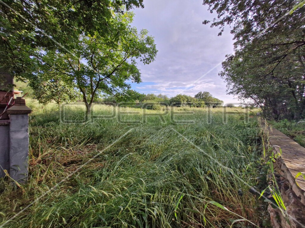 Image 6241772 - 6