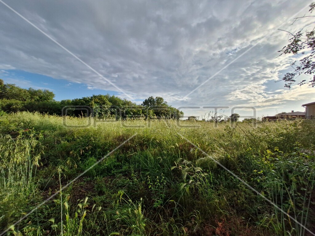 Image 6241772 - 1