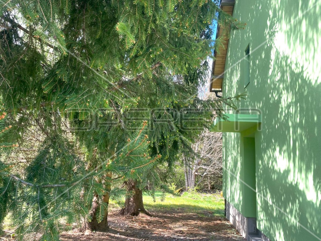 Image 6241838 - 5