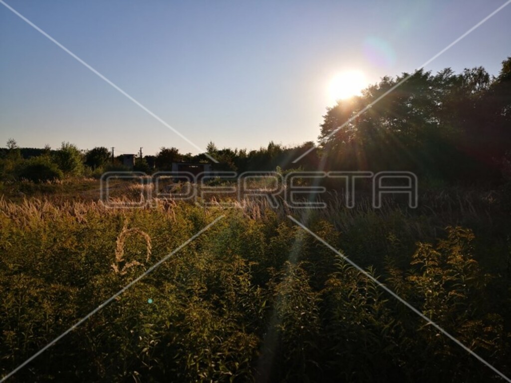 Image 6241854 - 1