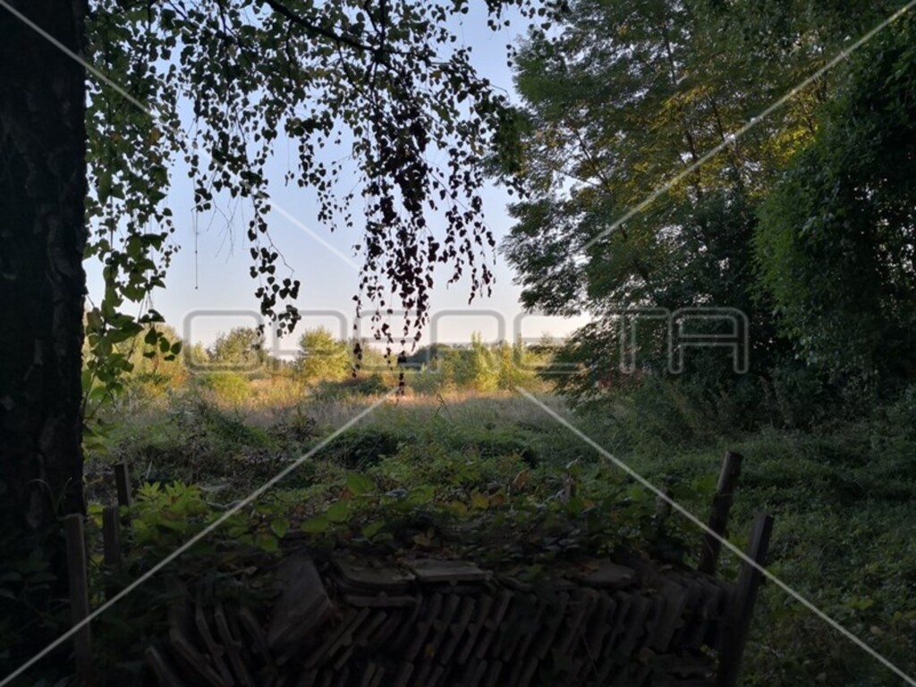 Image 6241854 - 3