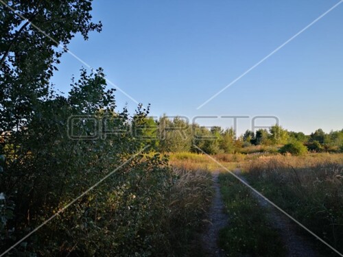 Thumbnail 6241854 - 2
