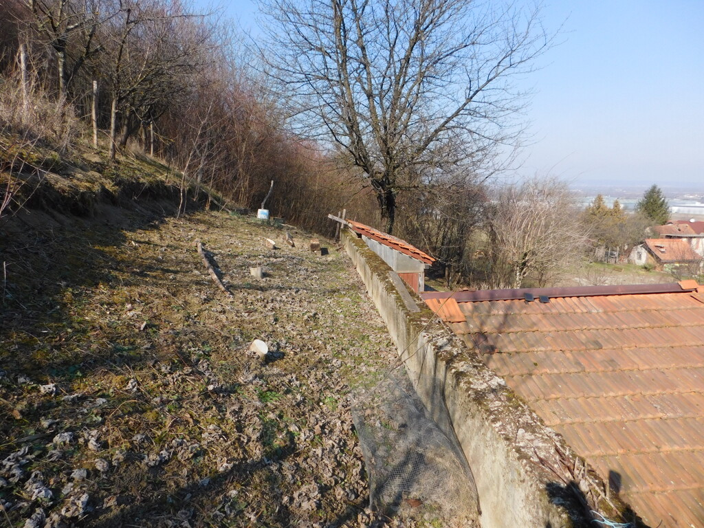 Image 6241919 - 10