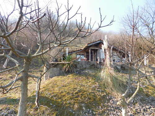 Thumbnail 6241919 - 4