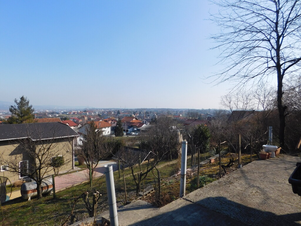 Image 6241919 - 12