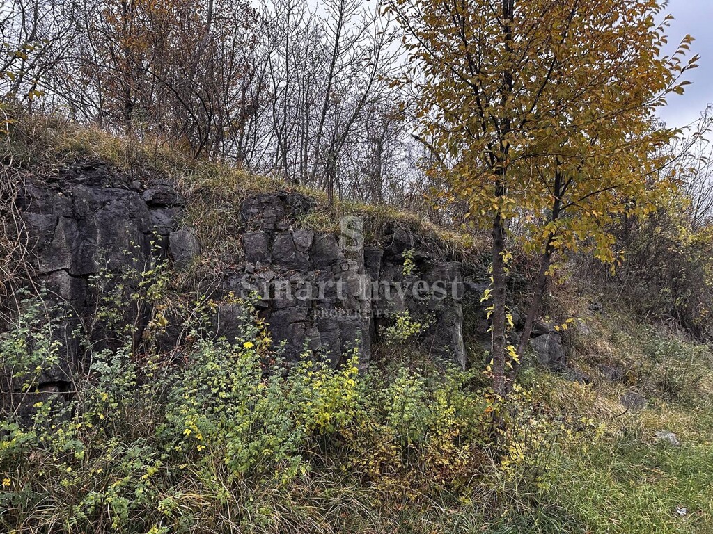 Image 6241999 - 4