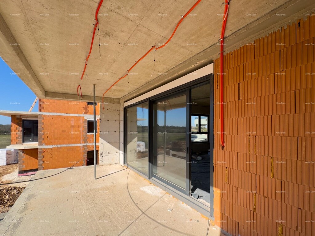 Image 6242025 - 1