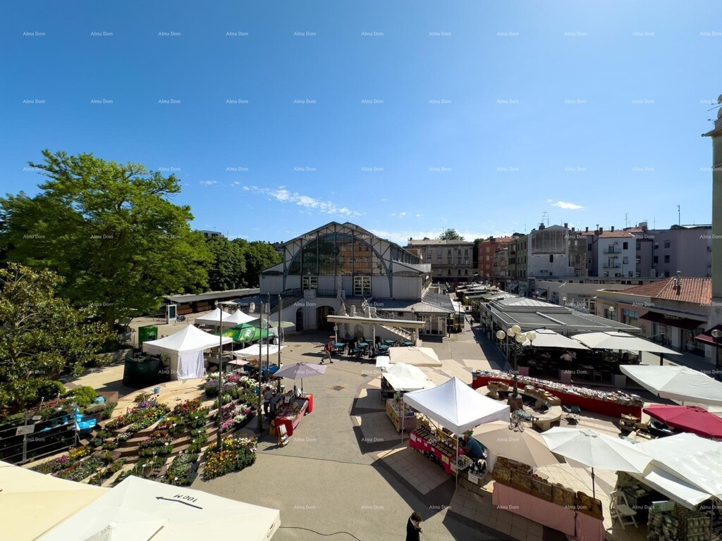 Image 6242026 - 2