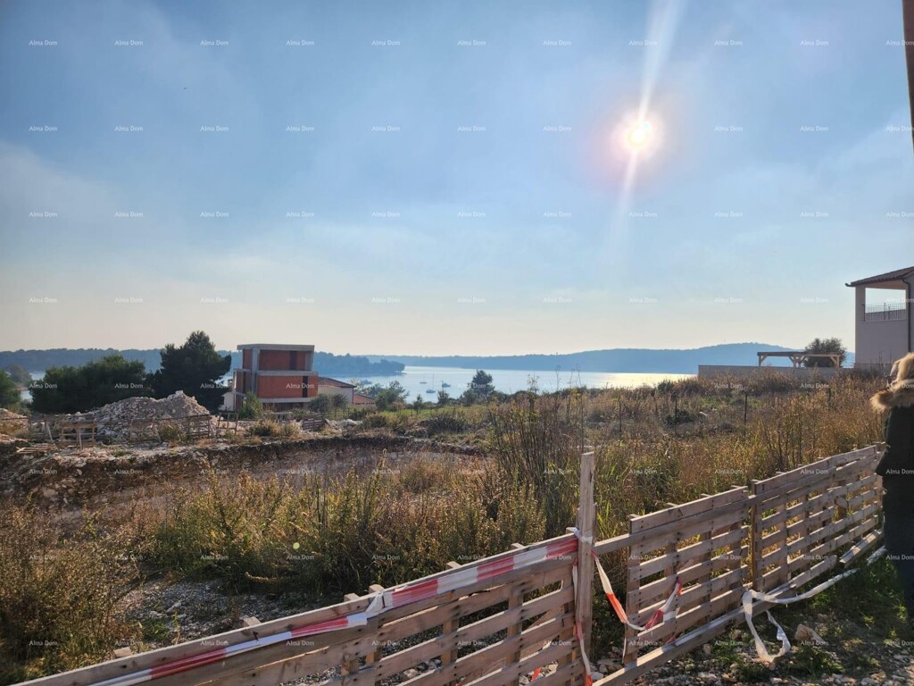 Image 6242027 - 2