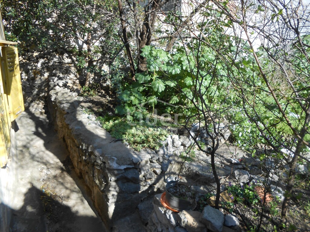 Image 6242161 - 11
