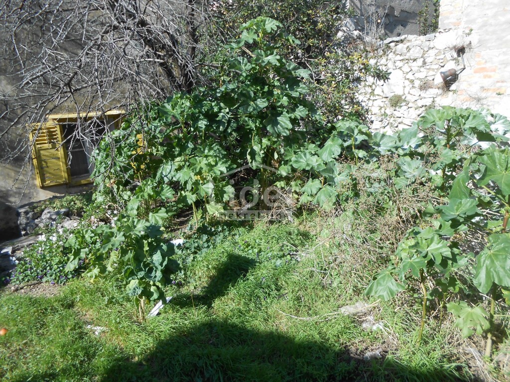Image 6242161 - 7