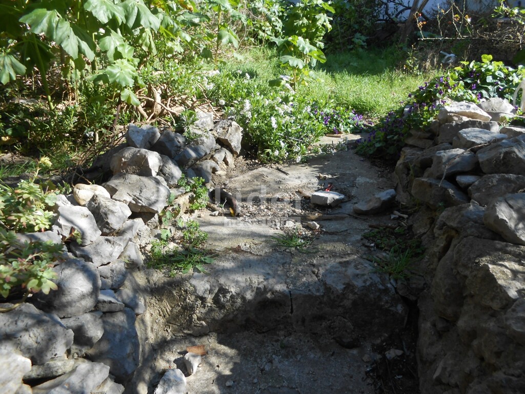 Image 6242161 - 12