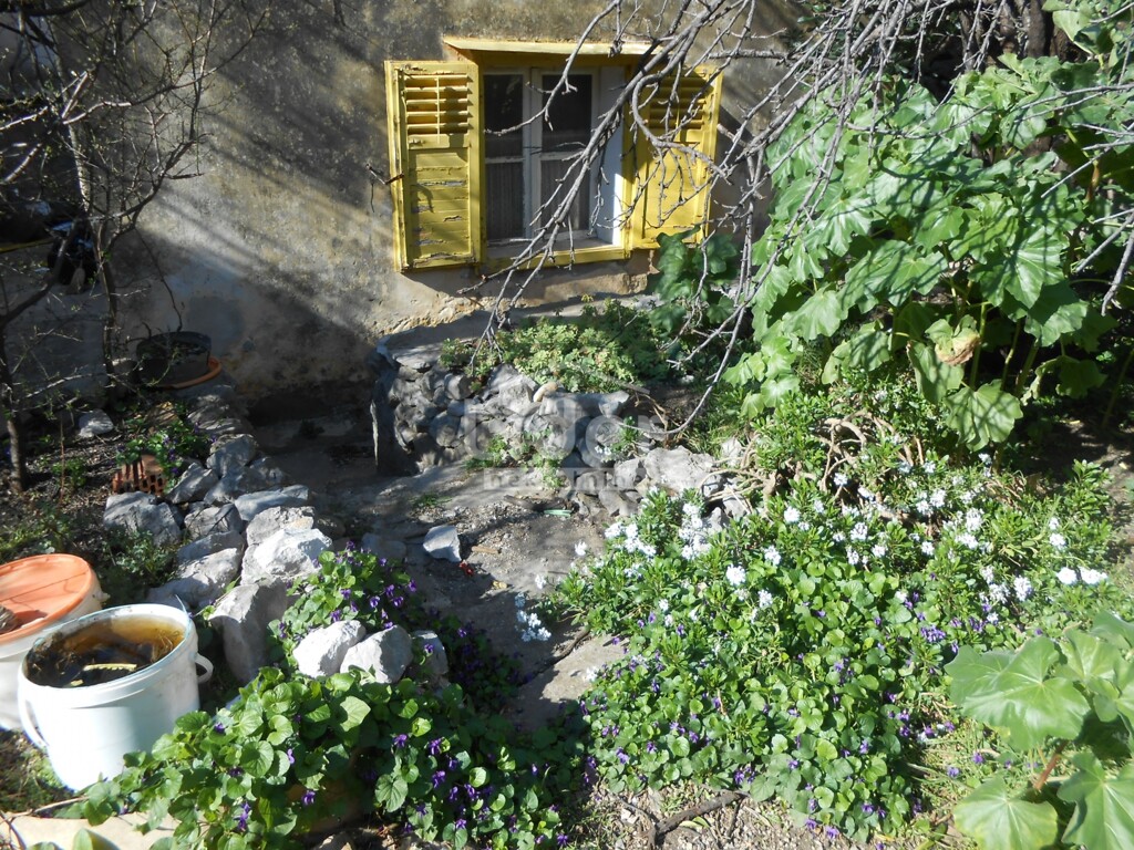Image 6242161 - 6