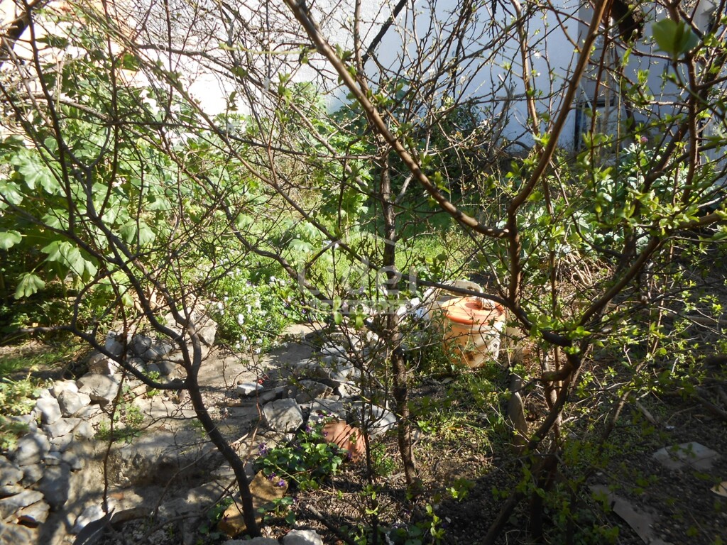 Image 6242161 - 10