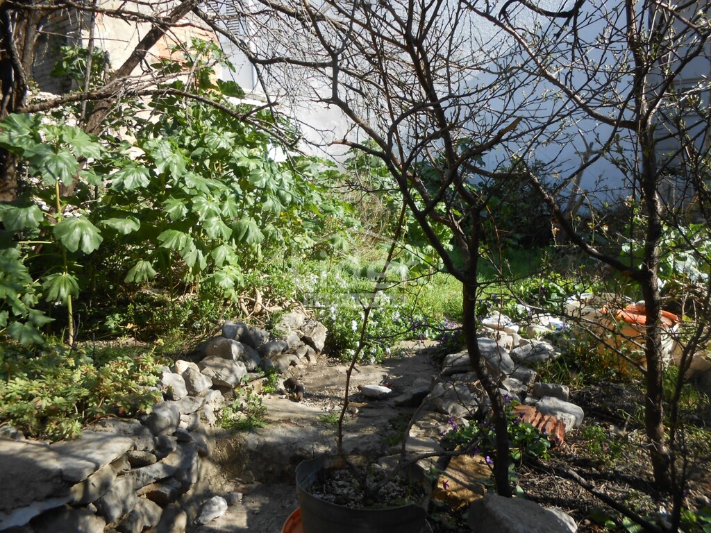 Image 6242161 - 9