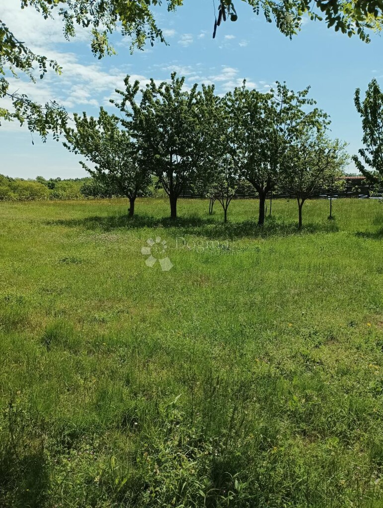 Image 6242166 - 3